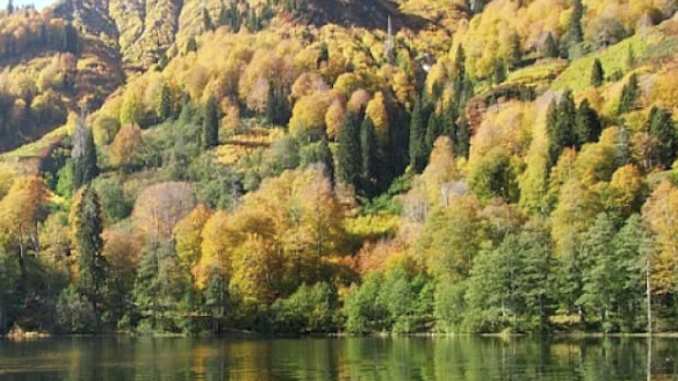 Camligin-Basinda-Tuter-Bir-Tutun