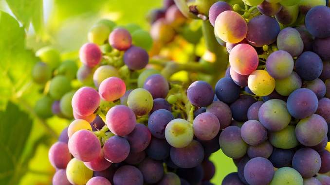 Ey-Zahit-Saraba-Eyle-Ihtiram