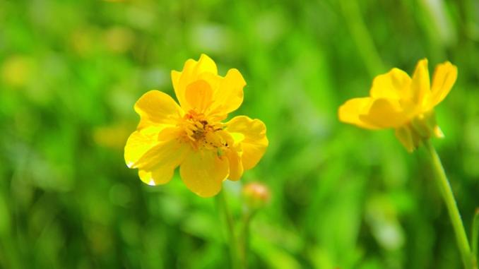 Dun-Gece-Yar-Hanesinde